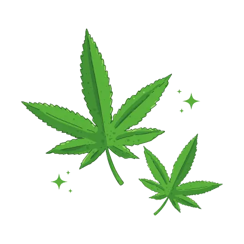 green cannabis leaves hand drawn