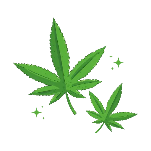 Best Dispensary in Albuquerque